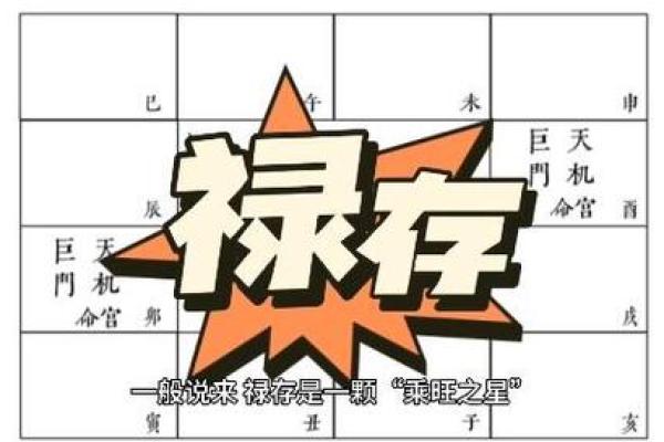 紫微斗数里的禄是什么意思 紫薇禄存星？
