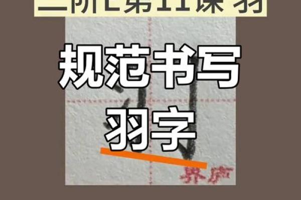 羽的八字