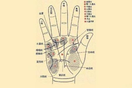 怎样看手纹给自己算命 富贵的手相