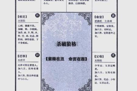 紫薇斗数盘下载