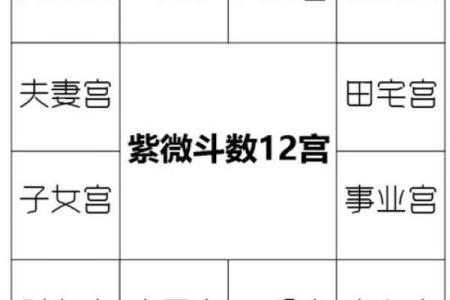 紫薇斗数命宫绝