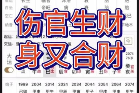 伤官生财的八字命例