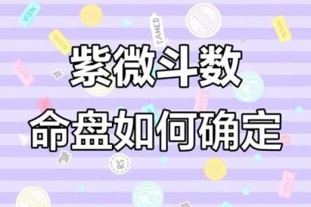 紫薇斗数定盘软件