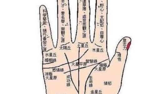怎样看手纹给自己算命女 手相看你的性格特征