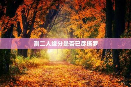 塔罗测试你下一世缘分 塔罗测你下一段恋爱？