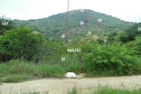 教你在清明节如何查看阴宅风水