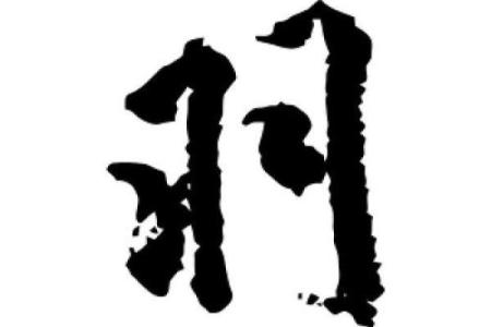 羽的八字