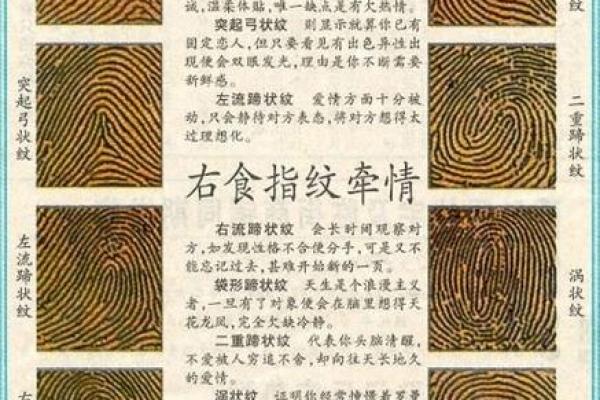 看手相算命图解：指纹