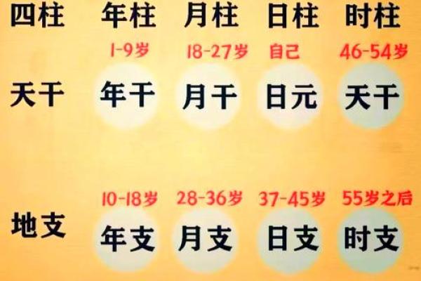 生辰八字免费起名字