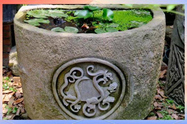 石缸养鱼与风水