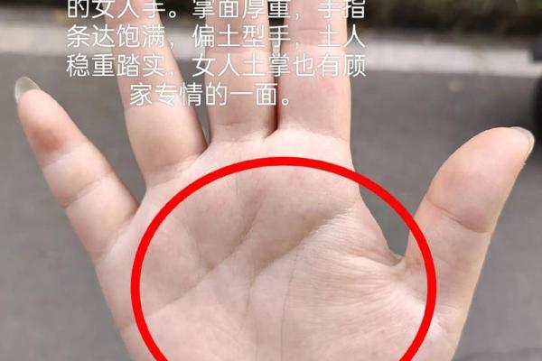 手相图解大全女 右手 算命 手掌红润柔软