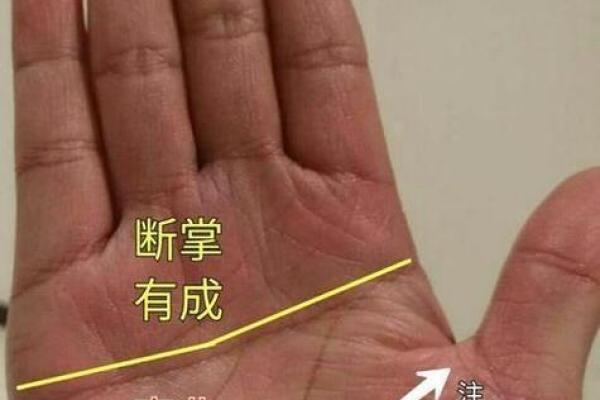 手相图解大全女 右手 算命 手掌红润柔软