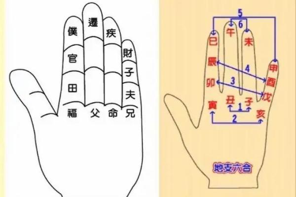 一掌经算命实例