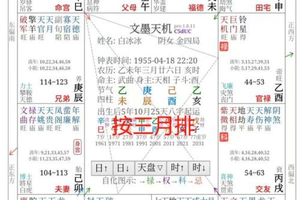紫云派紫微斗数资料 紫云星是什么意思？