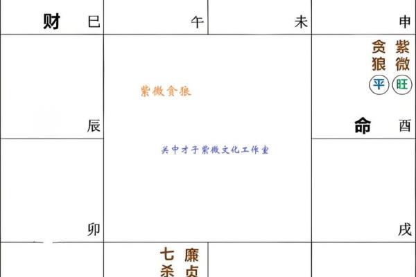 网上紫薇斗数准吗