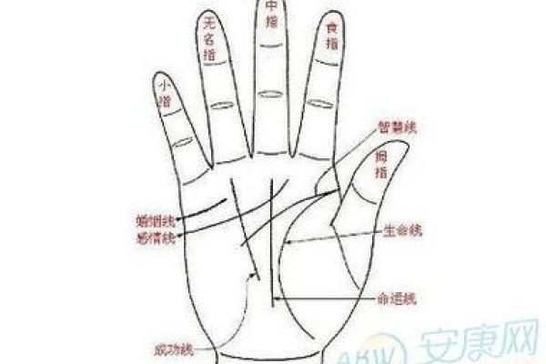 梦见看手相算命