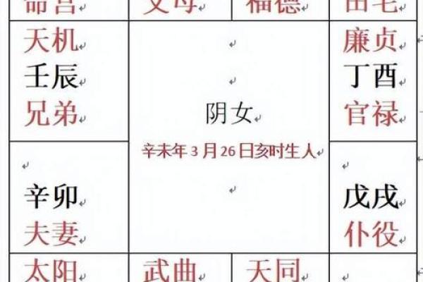 紫薇斗数abc.