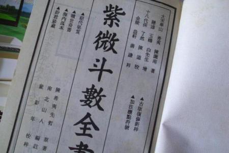 适合当艺术家的紫薇斗数