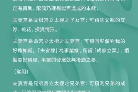 紫薇斗数大太极