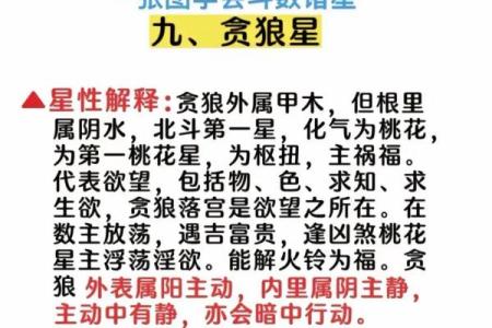 紫微斗数之兄弟宫与诸星,贪狼星在兄弟宫是什么意思？
