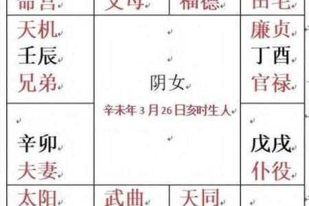 紫薇斗数abc.