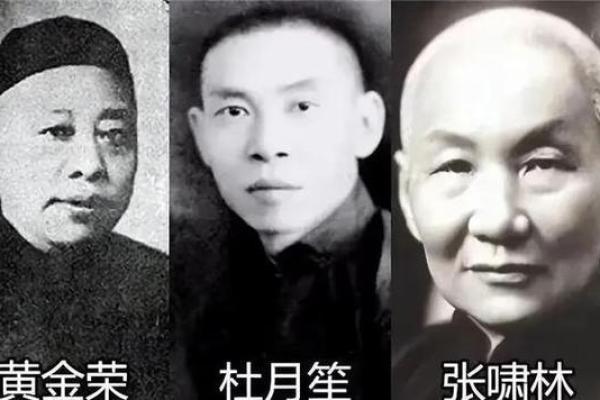 黄金荣紫薇斗数