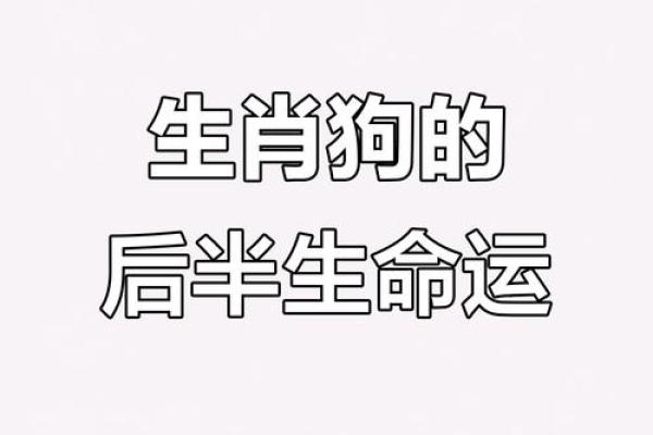 【详解八字合婚狗和狗，看看他们的姻缘指数！】