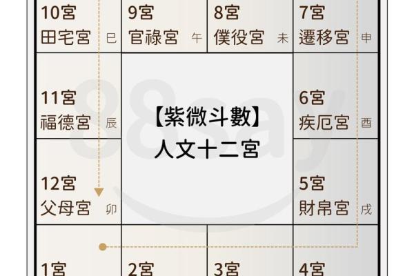 紫薇斗数爱情占卜