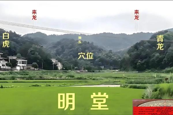 坟地的风水坟地风水看方位