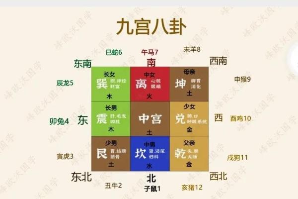 八字五行平衡