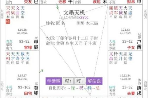 紫薇斗数速成