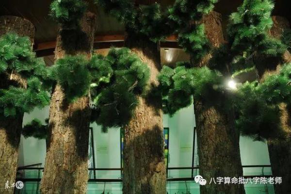 青州中所算命