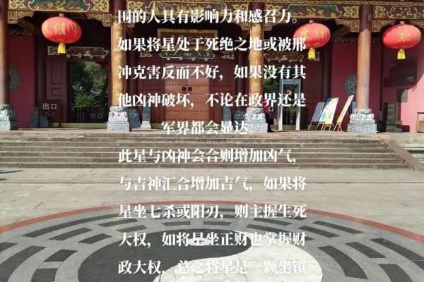 八字命理：虹桥一姐走红且看前程如何