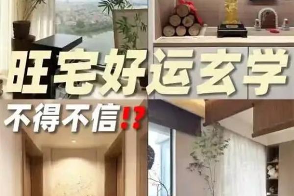2024年旺财运的最佳方法 家中风水摆放指南