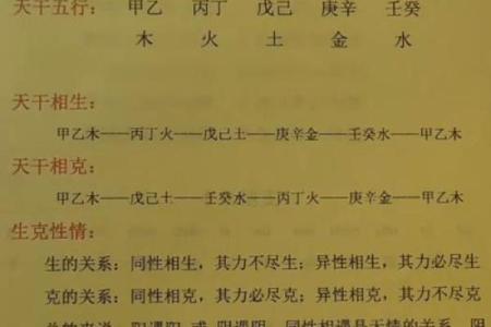 八字地支相冲分析与处理技巧