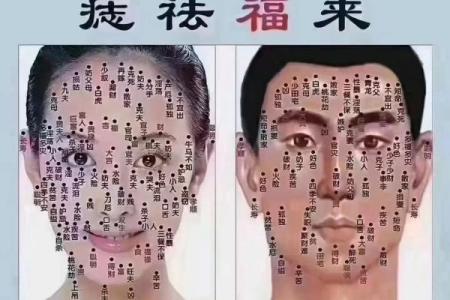 脸上黑痣算命图解吉凶