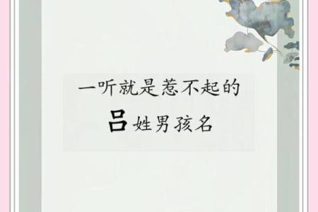 吕氏八字