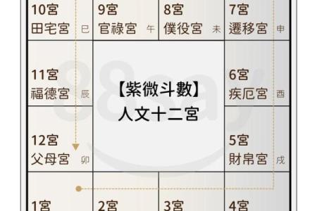 紫薇斗数爱情占卜