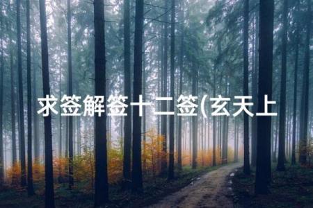 玄天上帝感应灵签十签