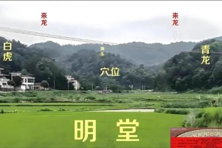 坟地的风水坟地风水看方位