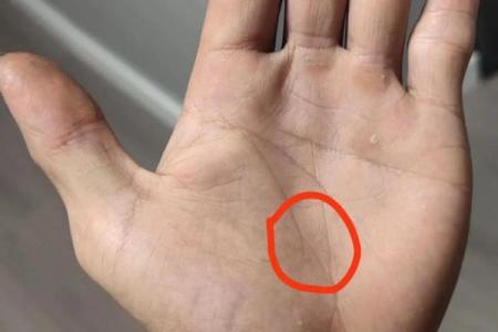 生命线算命：手掌上的玄机真能预测你的命运？