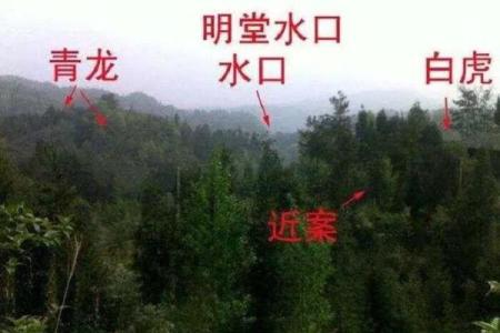 速成阴宅风水实例故事了解如何调整风水大势