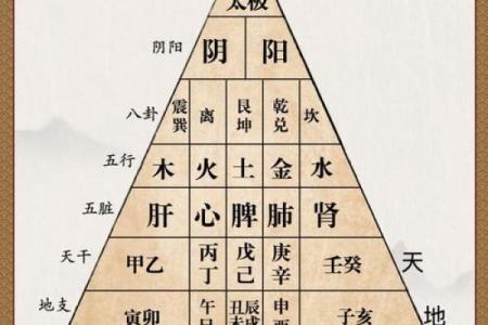 八卦算命原理,八卦推算命运和解析