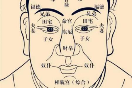 紫薇斗数速成