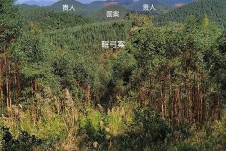 坟墓出现异象？说明坟墓风水好