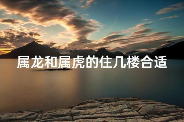 全家人都属龙,七层的楼住几层风水好？
