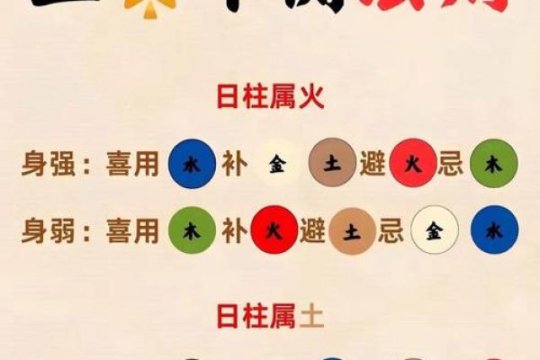 八字十二地支的五行属性