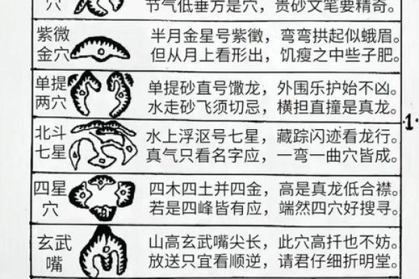 如何看阴宅风水宝地