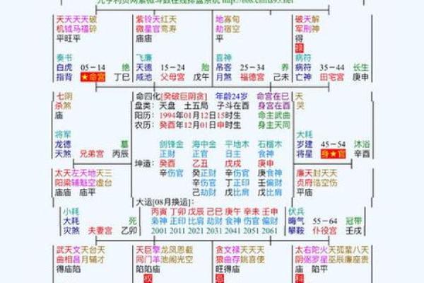 紫薇斗数看行运