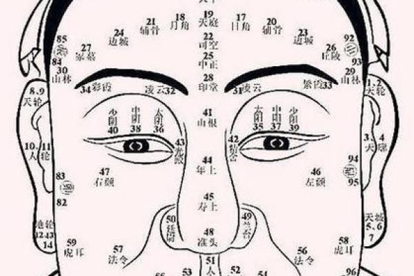 面相风水_更好看的风水小说